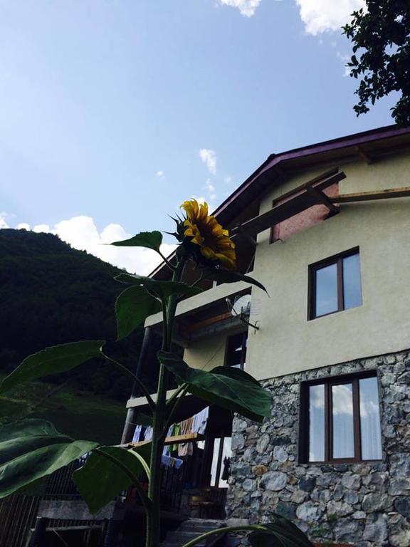 Sakhli Laghamshi Hotel Mestia Exterior photo